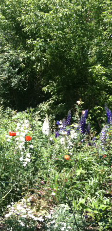 cb_foto_psychotherapie